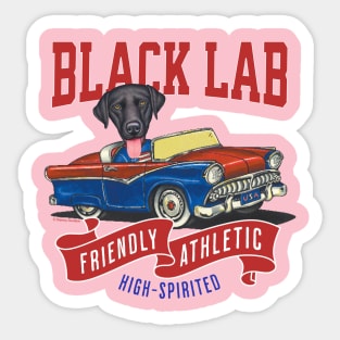 Humor cute funny black lab labrador retriever dog driving a vintage classic retro car to a parade with red white and blue flags Sticker